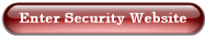 Enter Security Website